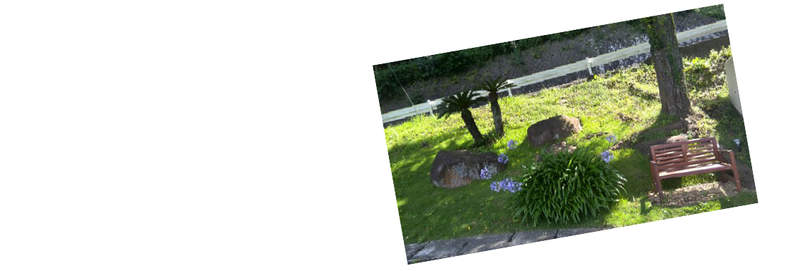 Way of Safety & Peace